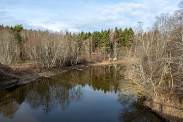 dirty forest river in spring