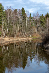 dirty forest river in spring