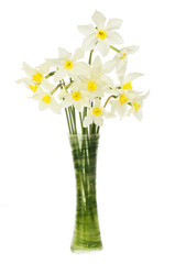 Pale daffodils in a vase