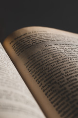 Fototapeta premium LIBRO