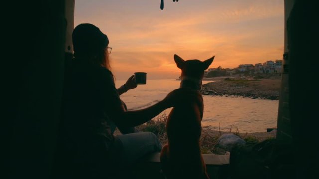Slow motion romantic and dreamy shot from inside of camping van on young adventurous woman travel world with best friend puppy basenji dog, sips on tea or coffee calm and tranquil,camp vibes lifestyle