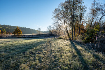first winter frost in sunrise light in countryside