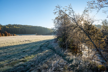 first winter frost in sunrise light in countryside