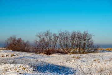 frozen sea beach in winter with low snow coverage