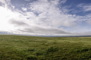 Landscape in Manyara national park