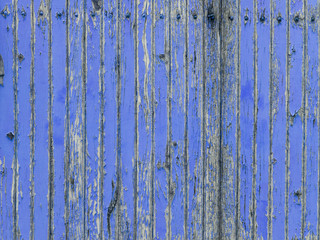 Fototapeta na wymiar Withered wooden wall with peeling paint of lavender blue