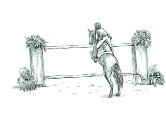 Show Jumping, hand drawn illustration. Line art technique on white.