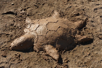 Tortoise made from mud