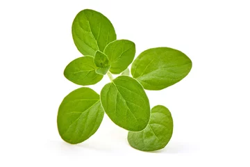 Fotobehang Fresh sweet marjoram branch, oregano, close-up, isolated on white background © GSDesign