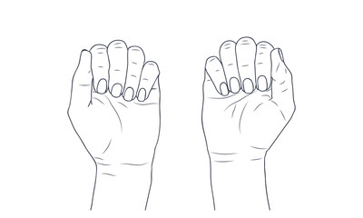 Vector sketch illustration - women's hands.