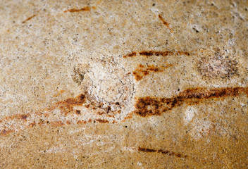 The smooth surface of a stone ground by a sea wave. Ready photo background. Macro.