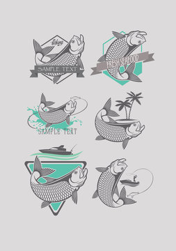 fish tarpon logo