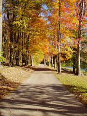 Fototapeta na wymiar Autumn in Pennsylvania along a country road