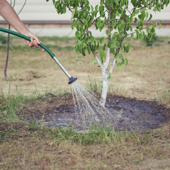 Caucasian woman is watering trees in the garden.