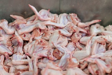 Blank cut chicken wings production close-up