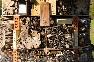 Close up on insect hotel to protect endangered bees, Venlo, Netherlands