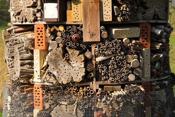 Close up on insect hotel to protect endangered bees, Venlo, Netherlands