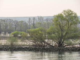 Kreuzfahrt auf dem Rhein