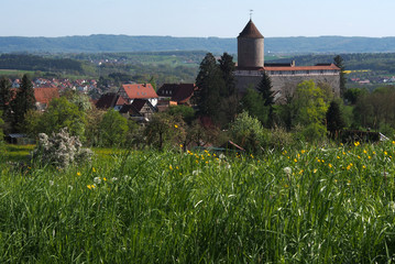 Burg Reichenberg, Oppenweiler