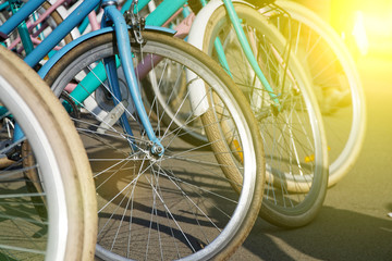 Fototapeta na wymiar Bicycle wheel in a row close-up wheel detail, bicycle spoke.
