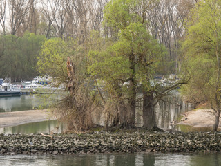 Kreuzfahrt auf dem Rhein