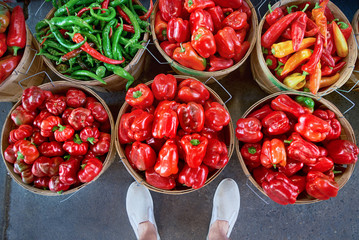 Colourful peppers, red, yellow and green, are sold in a wooden barrel at outdoor market place, Their name are bell pepper, sweet pepper or capsicum.