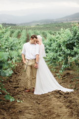 Portrait of a gorgeous women and man in the vineyards.