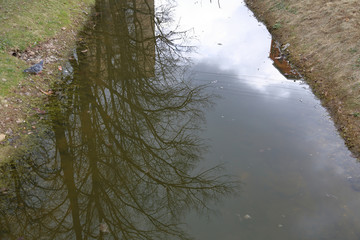 Water surface of a narrow shallow river with reflections