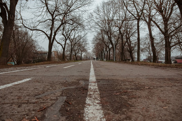 Line in the middle of the bicycle path