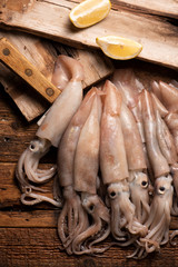 Squid  for sale on the market