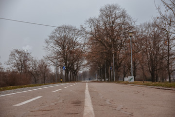 Empty bicycle path in the park