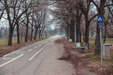 Bicycle path in the park
