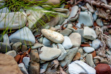 Smooth stone and green twig illuminated by the sun. Top view, close-up.