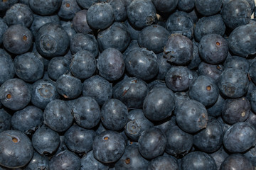 Bluebery