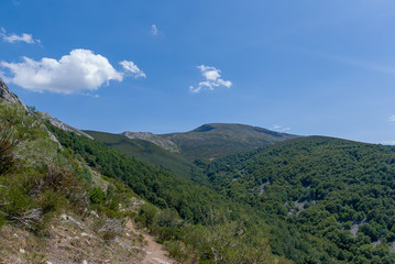 Fototapeta na wymiar Beautiful landscape of the Palencia mountain