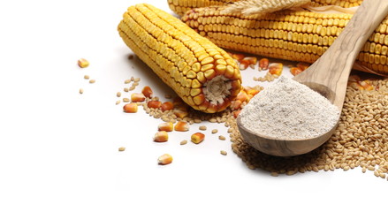 Dry ears of wheat, grain and cob of corn  with integral flour in wooden spoon isolated on white background