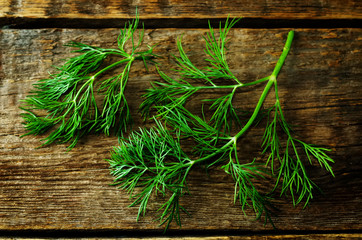 Fresh dill leaves on a dark wood background