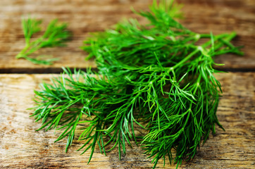 Fresh dill leaves on a dark wood background
