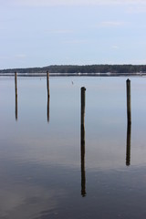 Poles reflecting on Brandy Pond, Naples, Maine