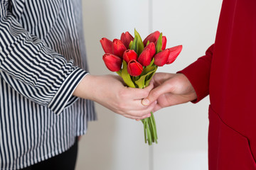 the girl hold the red tulips in the hand for happy mothers day or teachers day.