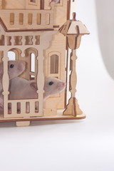 Mice beige in a wooden house. convenience for your pet.