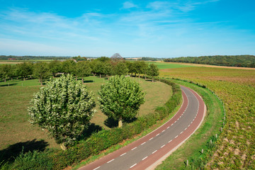 Fototapeta na wymiar road along the meadows in landscape along Mergelland Route near Mesch, The Netherlands