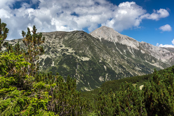 Obraz premium Summer landscape with Vihren Peak, Pirin Mountain, Bulgaria