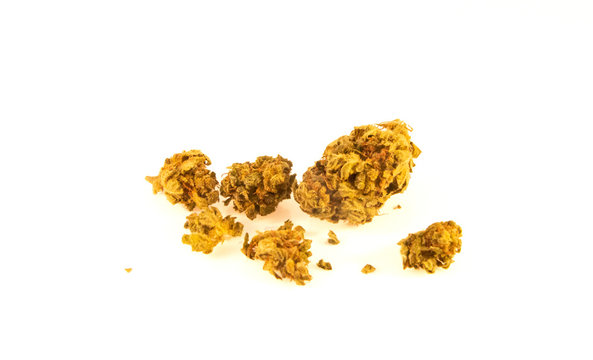 Cannabis - Narcotic