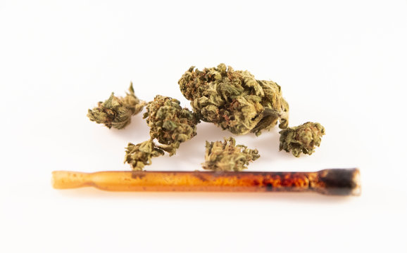 Cannabis - Narcotic