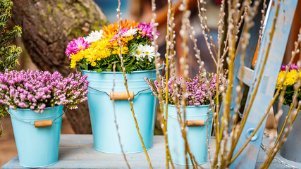 Świeże kwiaty w donicach- Wielkanoc © BlackMediaHouse