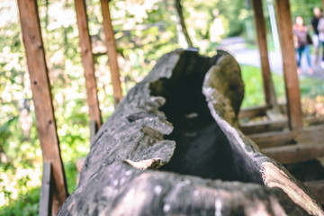 Carved tree