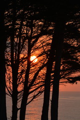 A sunset behind the trees in Cantabria	