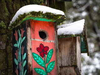 nesting-box