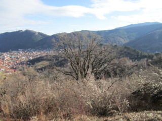 Brasov